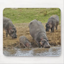 Recherche de hippopotame tapis souris Afrique