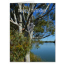 Suche nach murren postkarten Fluss