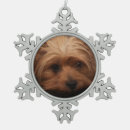 Suche nach yorkie ornamente Yorkshire terrier