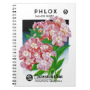 Suche nach phlox Floral