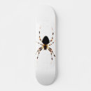 Recherche de araignée skateboards Arachnide