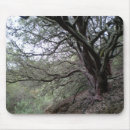 Suche nach quellen mousepads Bäume