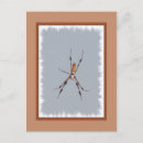 Recherche de tisserands cartes postales Nature