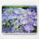Recherche de hortensia bleu électronique Jardin