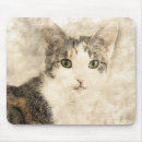 Recherche de attention tapis souris Chat