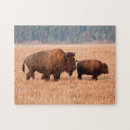 Recherche de bison puzzles Pâturage