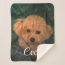 Recherche de dog blankets Dogs