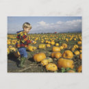 Recherche de brouette cartes postales Citrouille