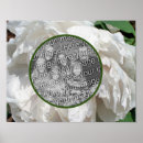 Recherche de jolie fleur posters Mother