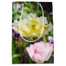 Suche nach weiße tulpe Fotografie