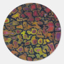 Recherche de os rond Fossile