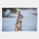 Suche nach kaninchen geschirr tücher Natur