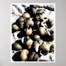 Suche nach frischwasser poster Natur
