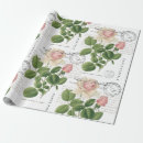 Recherche de carte postale papier cadeau Rose