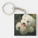 Recherche de bichon porteclés Animal