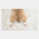 Recherche de butt autocollants Corgi