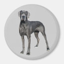 Suche nach dogge magnete Tiere