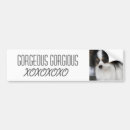 Recherche de le baiser voiture autocollants Chien