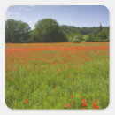 Recherche de champ agricole autocollants Personne