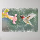 Suche nach trompete blume poster Kolibri