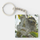 Recherche de sloth porteclés Animal