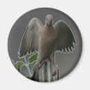 Recherche de ange tombé magnets Ailes