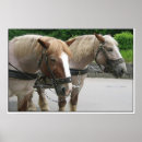 Recherche de cheval harnais posters Chevaux