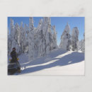 Suche nach snowmobiles postkarten Schnee