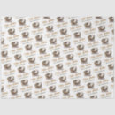 Recherche de absorbant Family