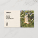 Recherche de fauconnerie cartes visite Oiseaux