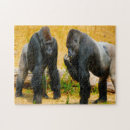 Suche nach gorillas puzzle Affen