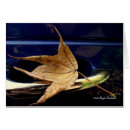 Suche nach fallblatt Natur