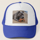 Recherche de amical casquettes Drôle