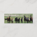 Recherche de jument cheval cartes visite Poulain