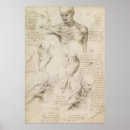 Suche nach schulter poster Anatomisch