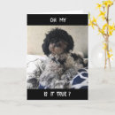 Recherche de très bien vœux cartes Photographie