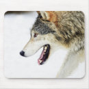 Recherche de loup bois construction tapis souris Faune