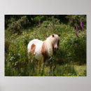 Suche nach shetland pony poster Bob sprache