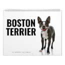 Suche nach terrier kalender Kaninchen