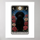 Suche nach portugiesischer wasserhund poster Welpe