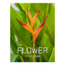 Recherche de le jardinier art Plante