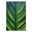Suche nach wandplakat Natur
