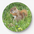 Recherche de écureuil assiettes en papier Pique nique