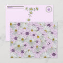 Recherche de marguerite rose cartes postales Fleurs
