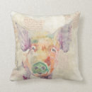 Recherche de cochons coussins Animaux