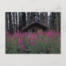 Recherche de abandon cartes postales Rural