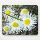 Suche nach weiße wildblumen mousepads Blumenfotografie
