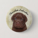 Recherche de chocolat labrador badges Chien