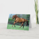 Recherche de étalon sauvage vœux cartes Ferme