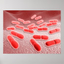 Suche nach organismus poster Biomedizinische illustrationen